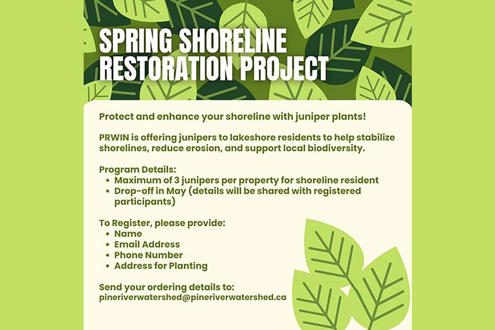 A poster with information on spring restoration project.