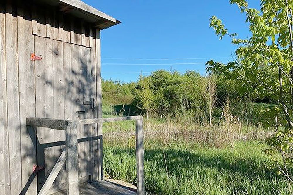 A photo at McLarty Outdoor Education Centre site.