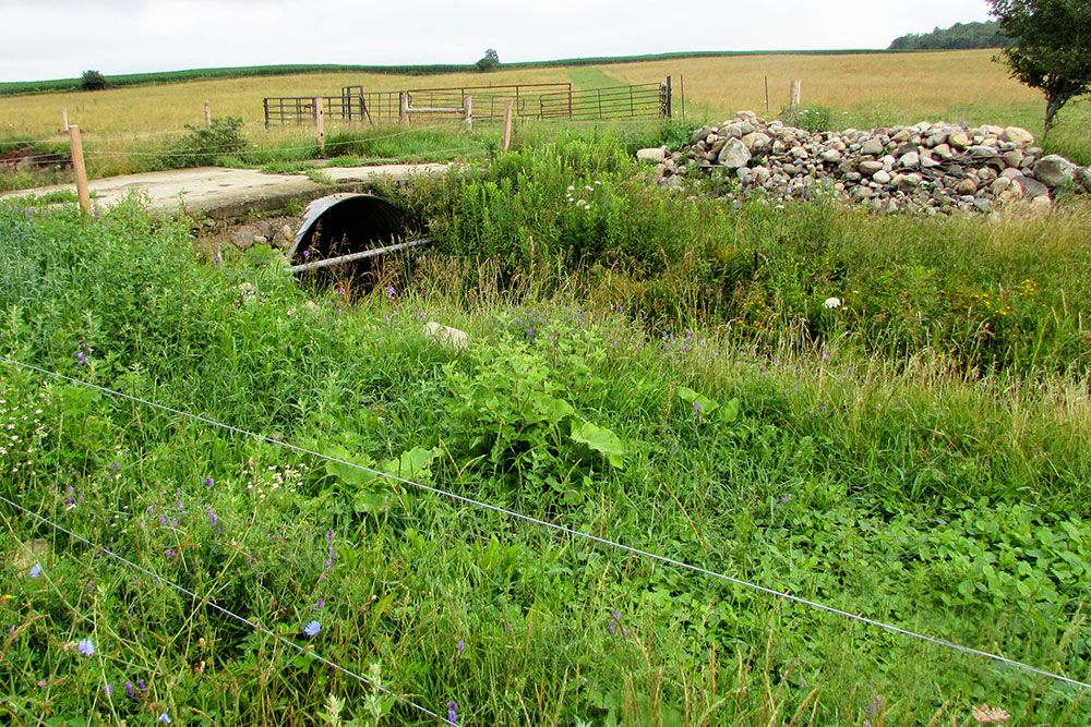 Landowners and community and funding partners are making stewardship possible.